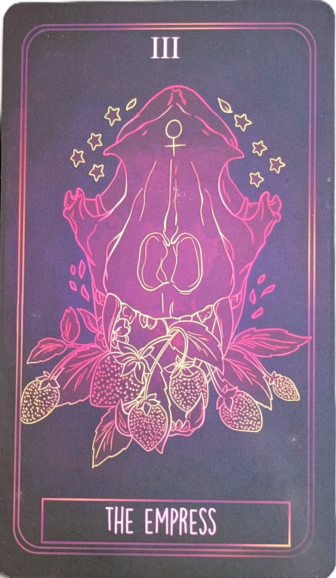 The Bone Tarot Deck: 78 Card Divination Deck with Guidebook