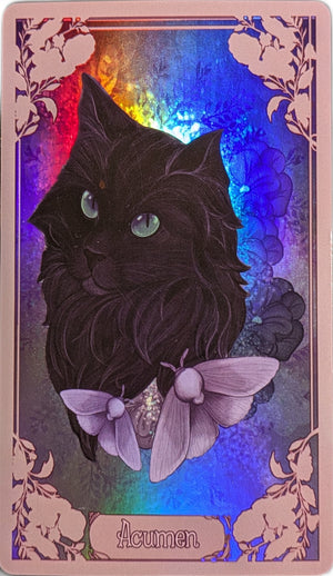 Primrose and Prose, 40 Card Divination Deck