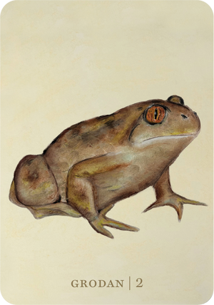 Lee Seger Djurkort