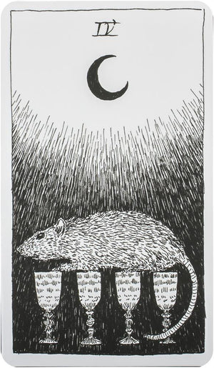 Wild Unknown Tarot Deck and Guidebook
