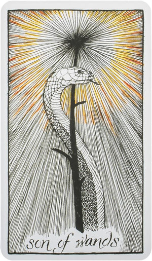 Wild Unknown Tarot Deck and Guidebook