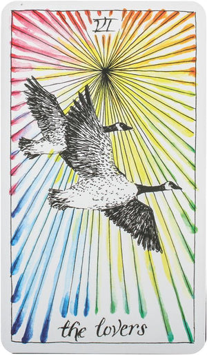 Wild Unknown Tarot Deck and Guidebook