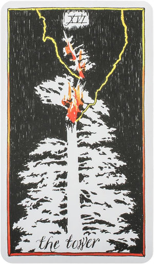 Wild Unknown Tarot Deck and Guidebook