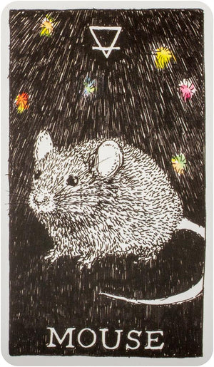 Wild Unknown Animal Spirit Deck and Guidebook