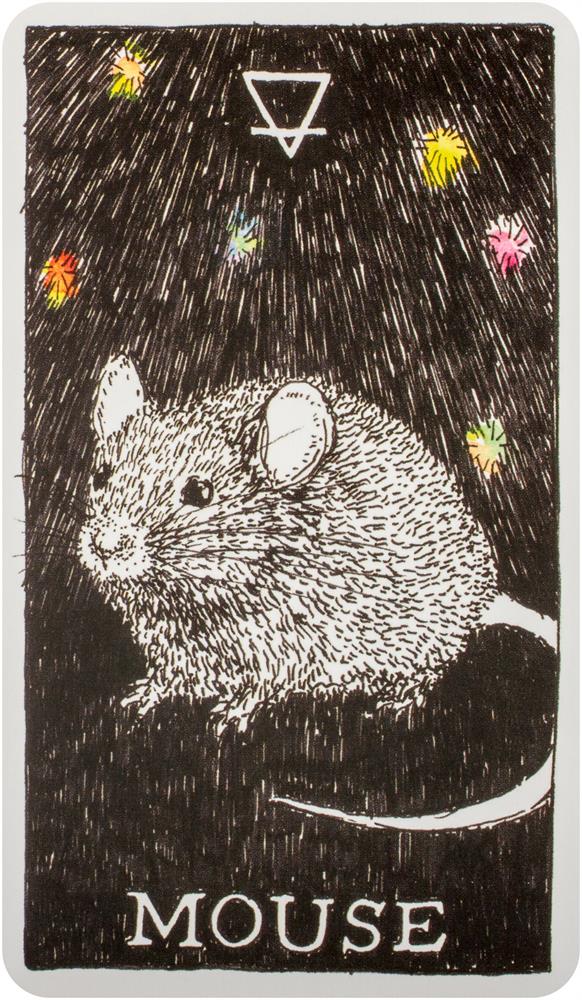 Wild Unknown Animal Spirit Deck and Guidebook