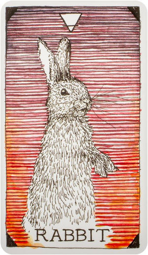 Wild Unknown Animal Spirit Deck and Guidebook