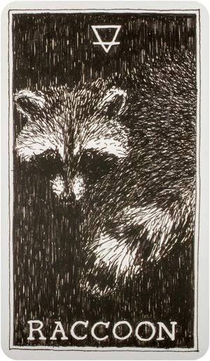 Wild Unknown Animal Spirit Deck and Guidebook