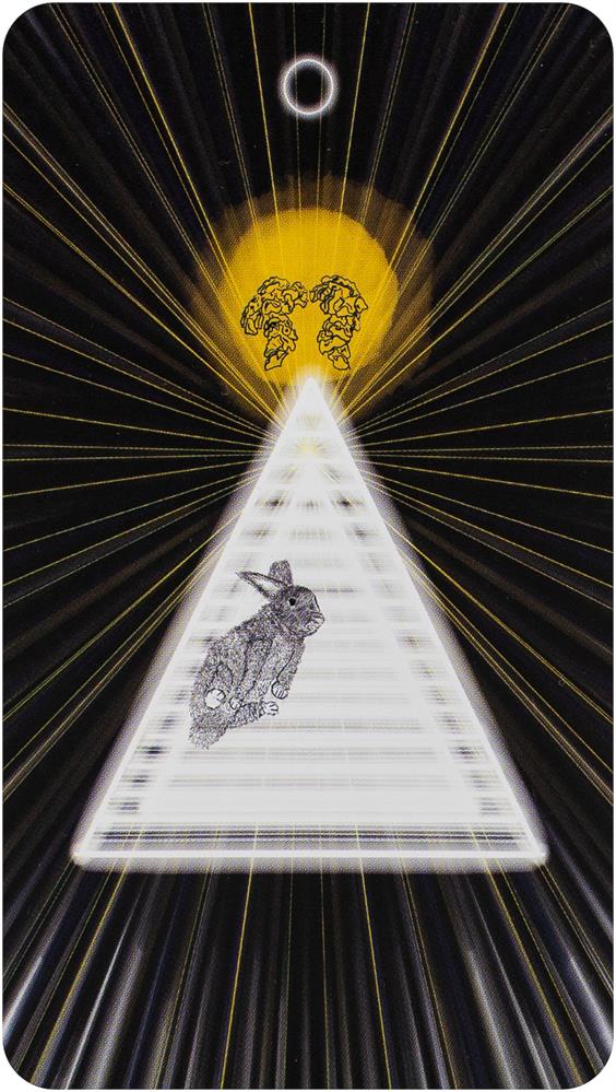 The Sacred Web Tarot