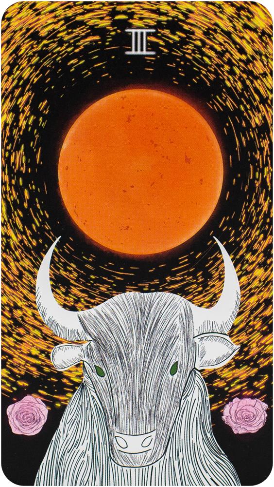 The Sacred Web Tarot