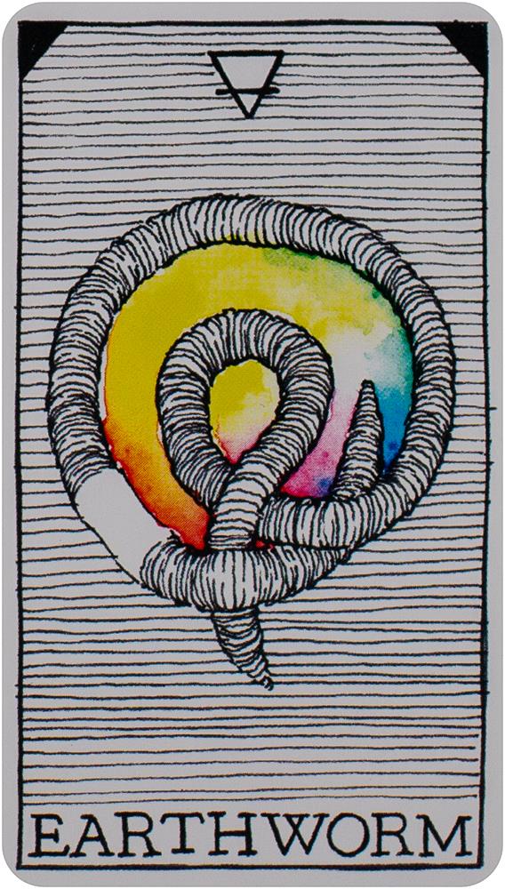The Wild Unknown Pocket Animal Spirit Deck