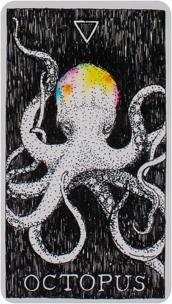 The Wild Unknown Pocket Animal Spirit Deck