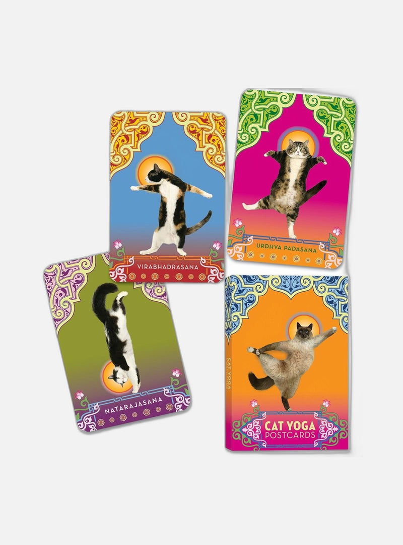 Cat yoga postcards