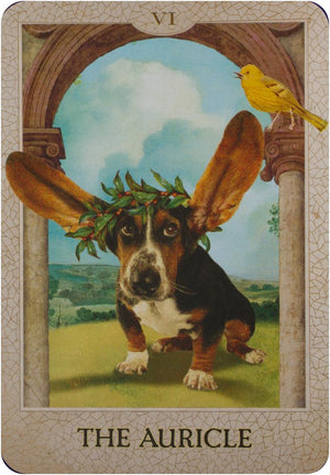 The Original Dog Tarot