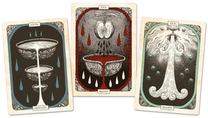 The Black Bird Oracle Deck: A 52-Card Deck and Guidebook