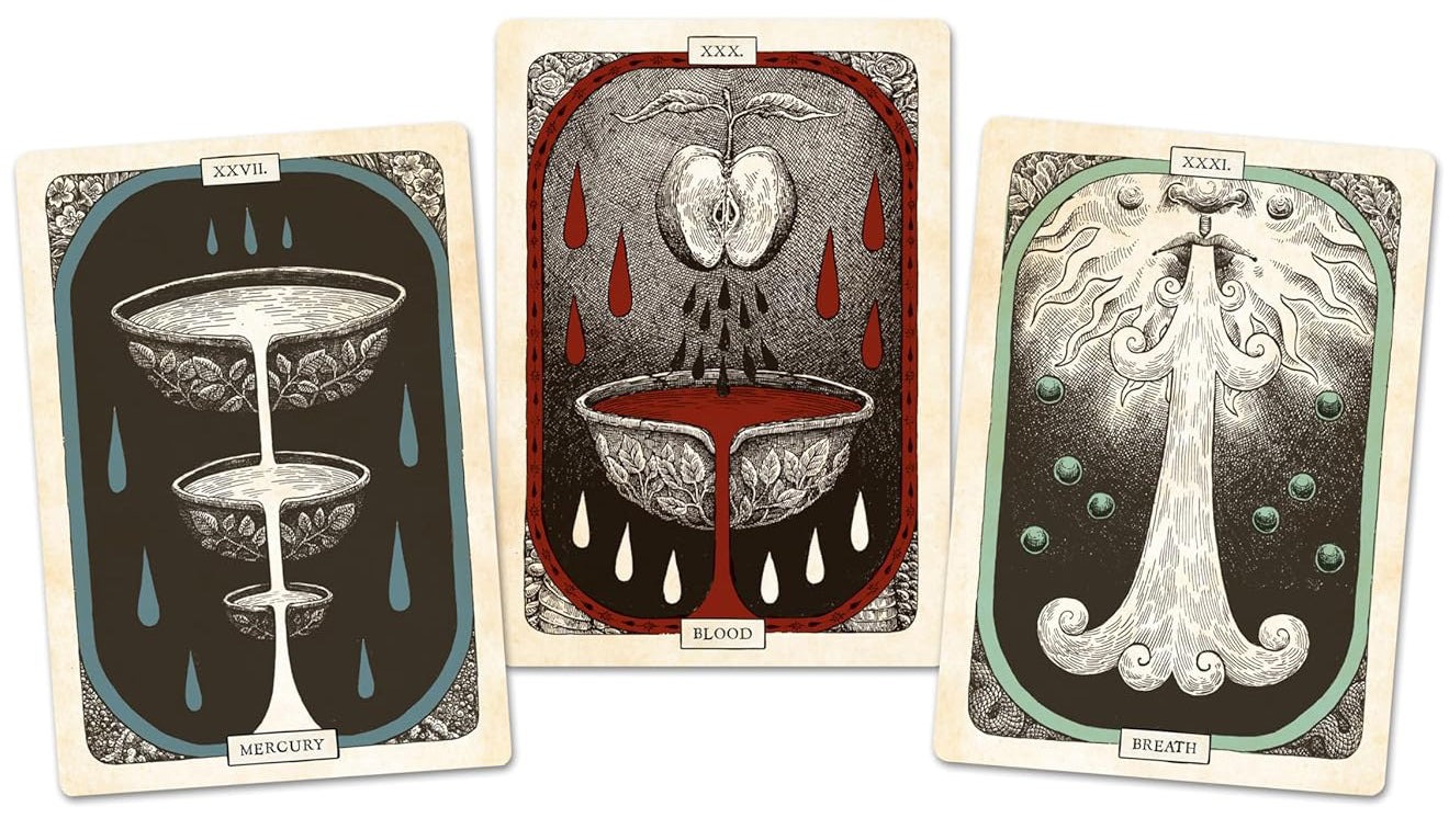 The Black Bird Oracle Deck: A 52-Card Deck and Guidebook
