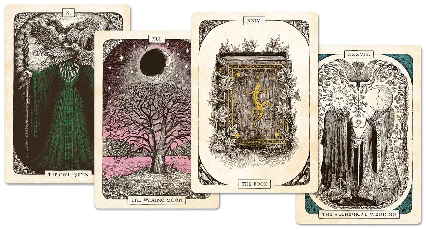 The Black Bird Oracle Deck: A 52-Card Deck and Guidebook