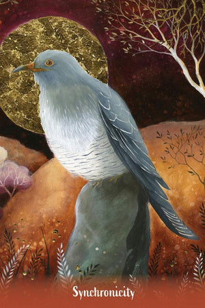 Earth Angels Message Cards: 70 Affirmation