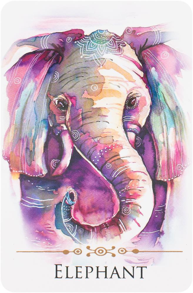 Spirit Animals Message Cards