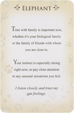 Spirit Animals Message Cards