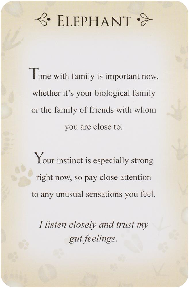 Spirit Animals Message Cards