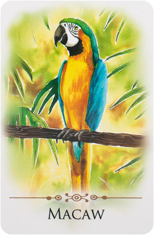 Spirit Animals Message Cards