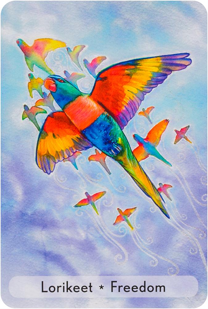 Enchanted Animal Oracle Cards