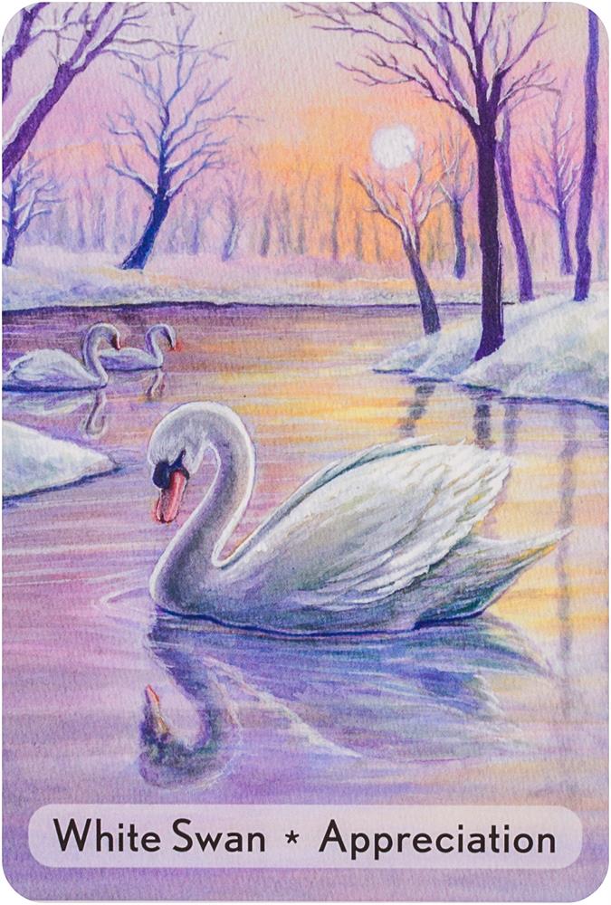 Enchanted Animal Oracle Cards