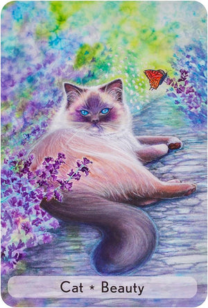 Enchanted Animal Oracle Cards