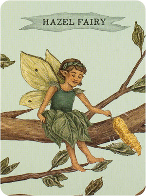 Find The Fairies : A Memory Game