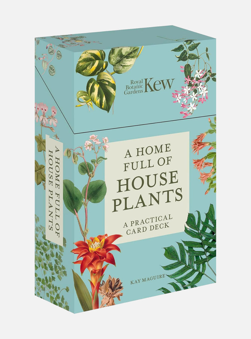 A Home Full of House Plants