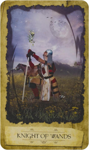 Mystic Dreamer Tarot [With 78-Card Deck and Book]