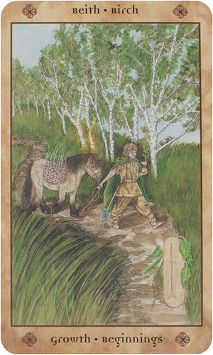 Voice of the Trees : A Celtic Divination Oracle