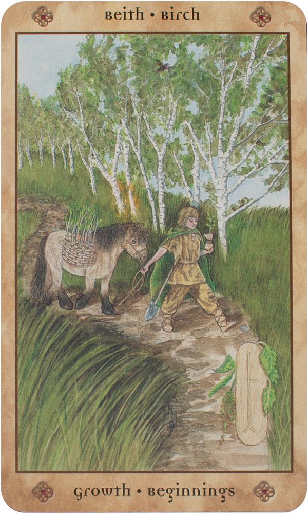 Voice of the Trees : A Celtic Divination Oracle