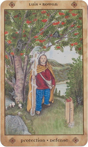 Voice of the Trees : A Celtic Divination Oracle