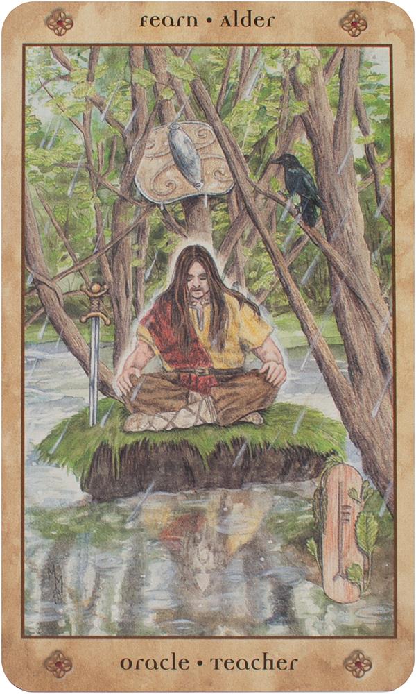Voice of the Trees : A Celtic Divination Oracle