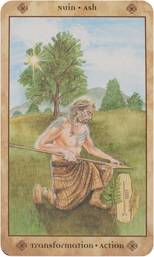 Voice of the Trees : A Celtic Divination Oracle