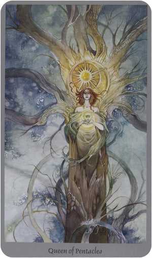 Shadowscapes Tarot [With Booklet]