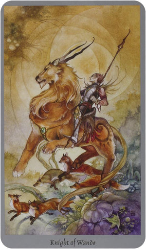 Shadowscapes Tarot [With Booklet]