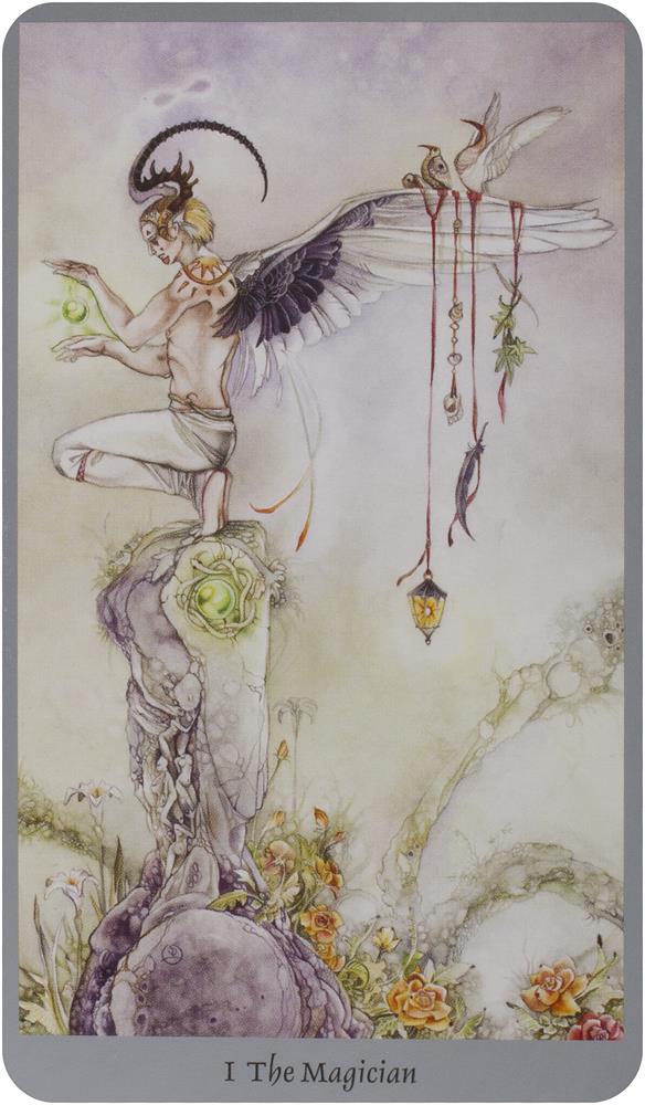 Shadowscapes Tarot [With Booklet]