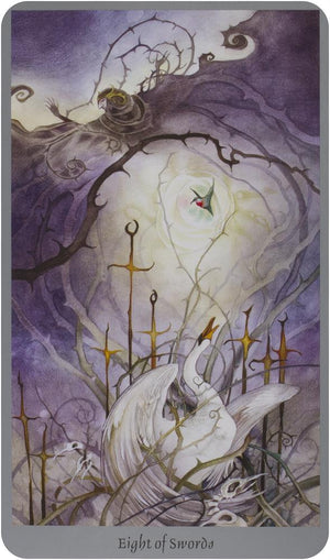 Shadowscapes Tarot [With Booklet]