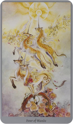Shadowscapes Tarot [With Booklet]