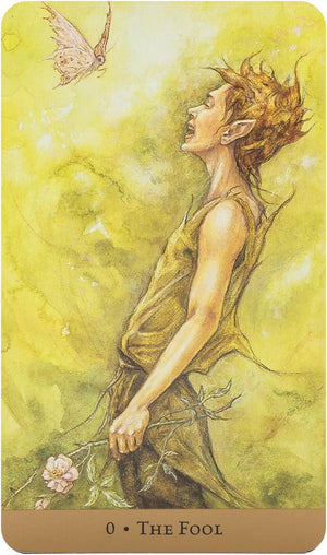 Tarot of the Hidden Realm (Boxed kit)