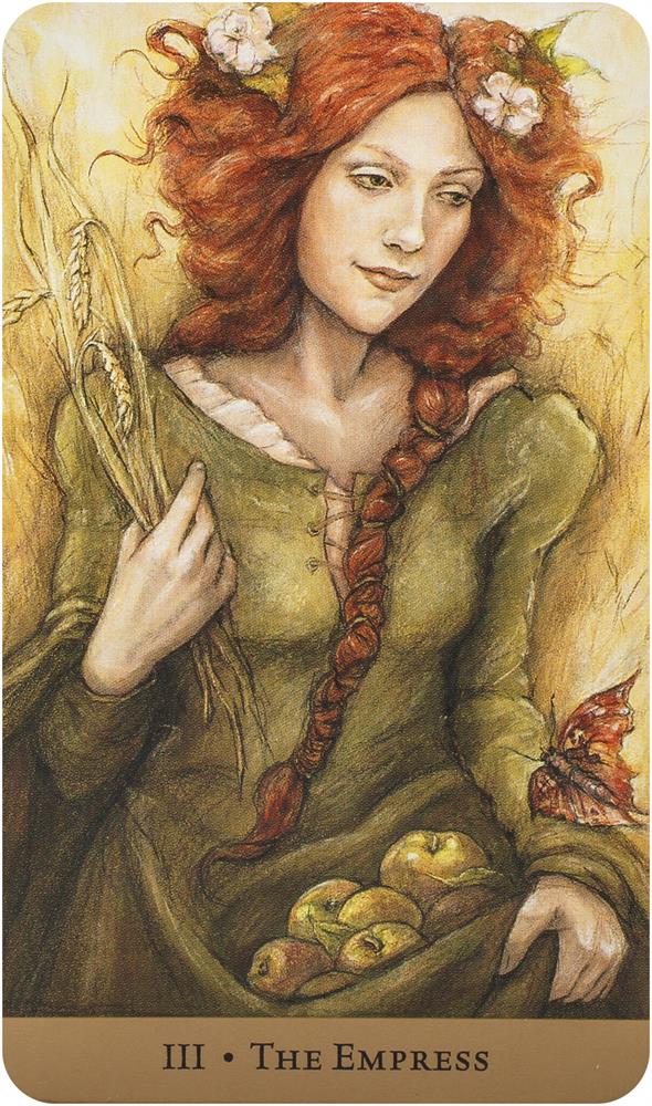 Tarot of the Hidden Realm (Boxed kit)