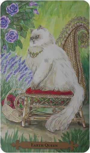 Mystical Cats Tarot (78-card deck & 312-page book)