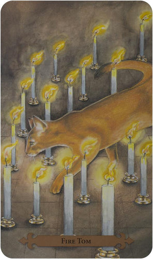 Mystical Cats Tarot (78-card deck & 312-page book)