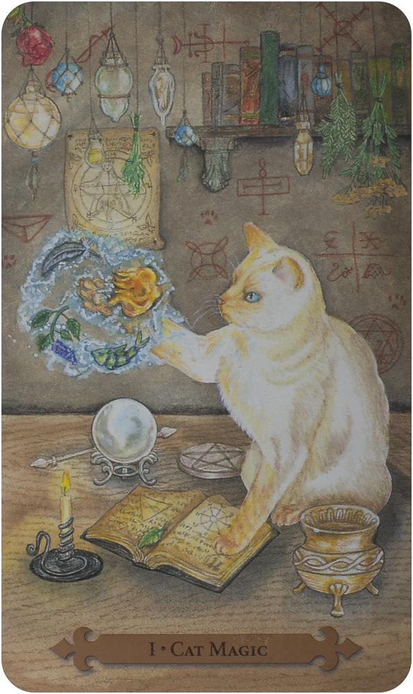 Mystical Cats Tarot (78-card deck & 312-page book)