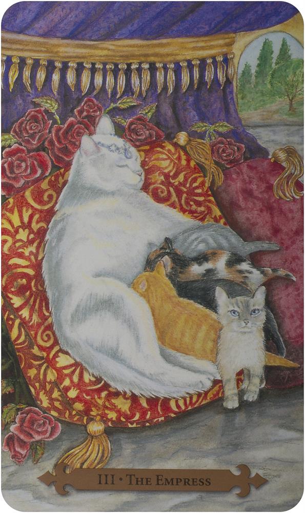 Mystical Cats Tarot (78-card deck & 312-page book)