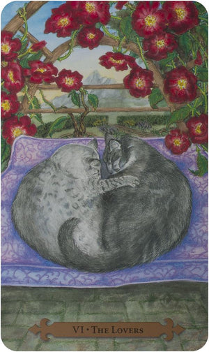 Mystical Cats Tarot (78-card deck & 312-page book)