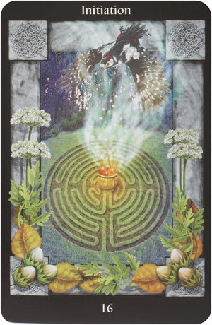 Sacred Circle Tarot Deck (78-card deck)