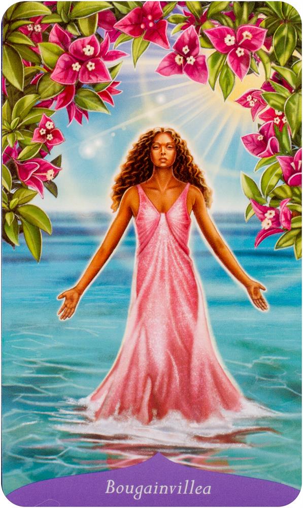 Magic of Flowers Oracle